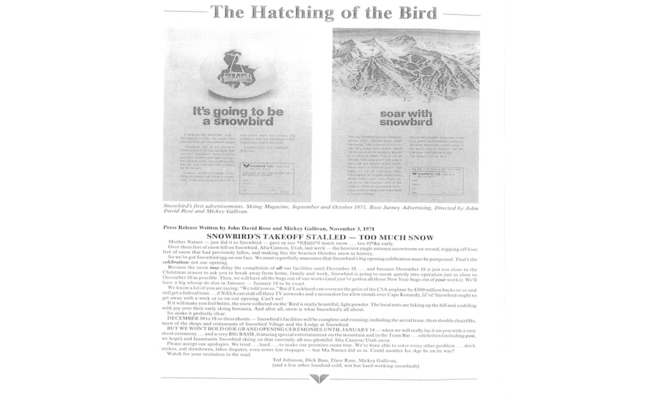 Hatching of the Bird